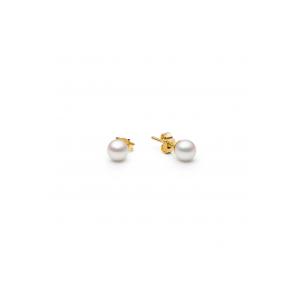 Kõrvarõngad ESR06-GY