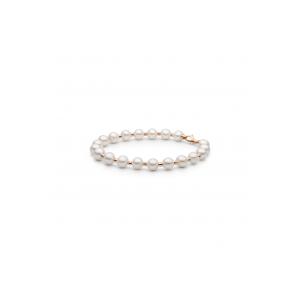 Браслет FARWGLB575B-18