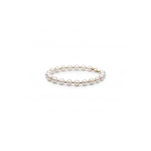 Браслет FARWGLBY575B-18