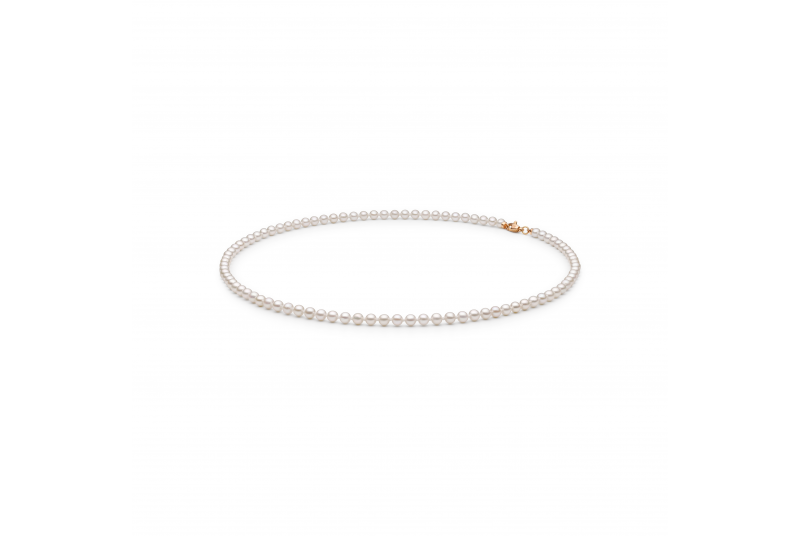 Ожерелье FRWGL304-C