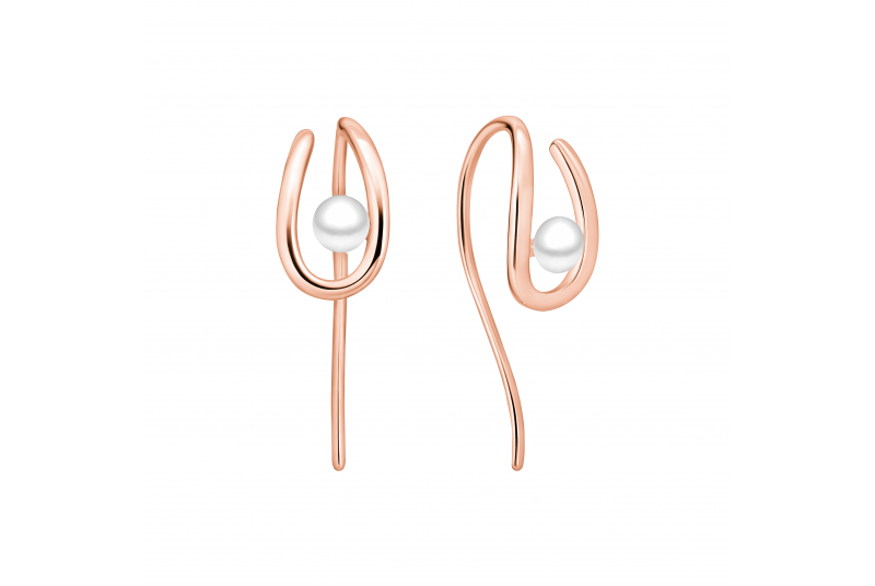 Kõrvarõngad SK24465GE