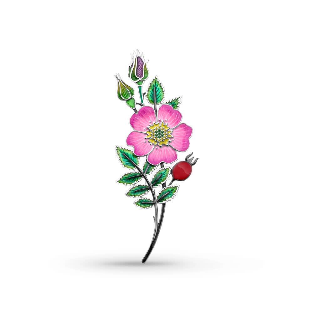 Hõbepross tsirkooniumite ja emailiga